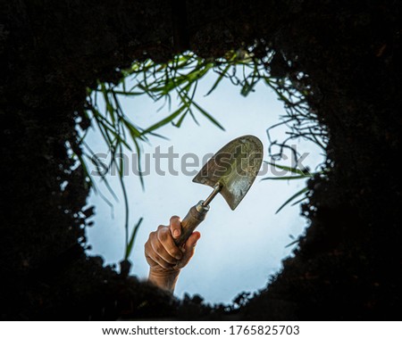 View of a garden trowel or spade seen from inside the earth.  Garden being weeded and dug up as seen from below the ground