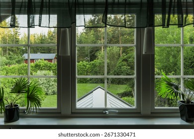 view to the garden from a window
