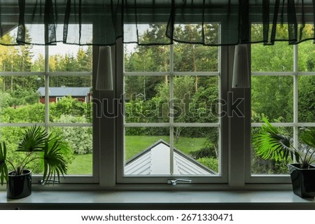 view to the garden from a window