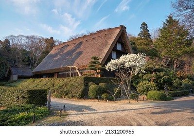 The View Of The Gassho Style House That Has Been Moved From Shirakawa-go To Higashiyama Zoo And Botanical Garden In The Warm Sunset Light. Nagoya. Japan