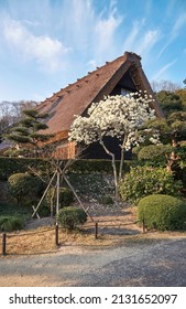 The View Of The Gassho Style House That Has Been Moved From Shirakawa-go To Higashiyama Zoo And Botanical Garden In The Warm Sunset Light. Nagoya. Japan