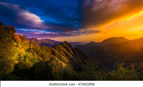 1,731,158 Forest At Sunset Images, Stock Photos & Vectors | Shutterstock