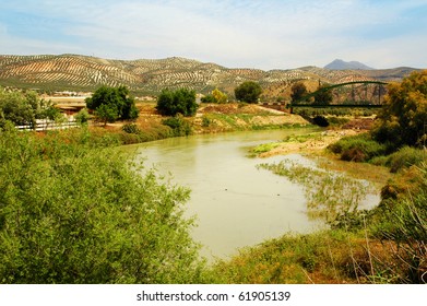 a view of Genil river, in Andalusia, Spain - Shutterstock ID 61905139