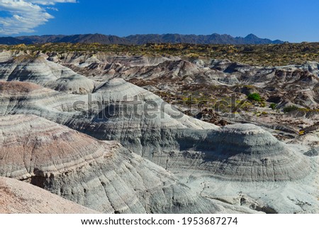 A view of the geological and paleontological wonderland of Ischigualasto Provincial Park, San Juan Province, Argentina