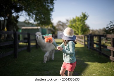 View Of Girl Feeding An Alpaca