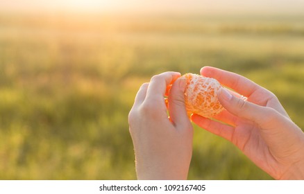 A view of the girl's hands peeling off the mandarin closeup - Shutterstock ID 1092167405
