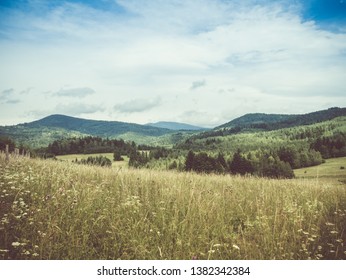 View Of The Glade In The Mountains