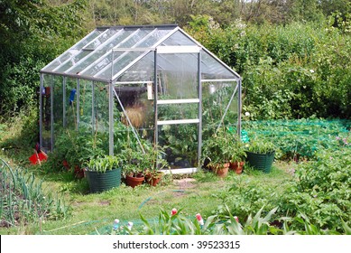 View Of Glass Greenhouse In Back Garden