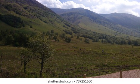 View From Glen Nevis Youth Hostel, Scotland, UK