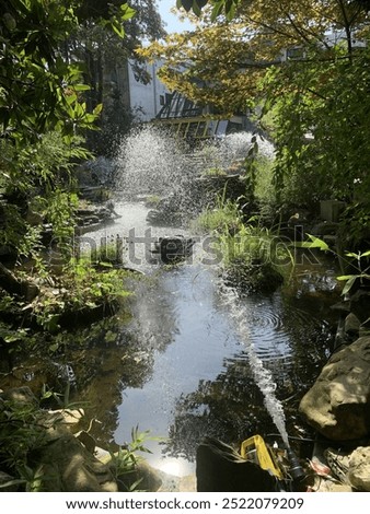 Similar – Image, Stock Photo Fog in a garden Garden