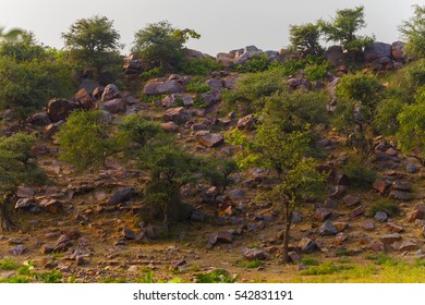 View Govardhan Hill In India