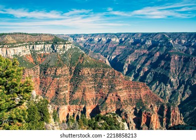 View Of Grand Canyon From North Rim