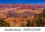 View of Grand Canyon South Rim, Grand Canyon National Park - Arizona - USA