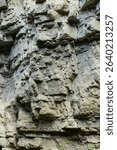 View of gray rocky sedimentary rocks in the Chegem Gorge in the summer in the mountains of the North Caucasus                               