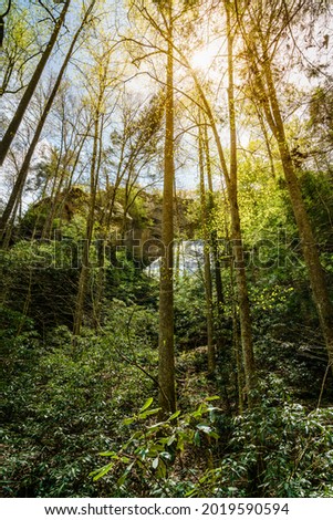View of Grays Arch from below in Red River Gorge in Kentucky