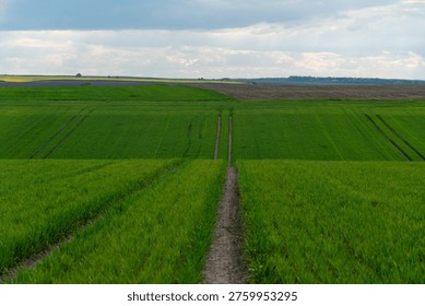A view of green fields with dirt paths cutting through them. The landscape extends far into the distance under a cloudy sky during the day.