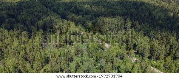 View of the green forest from\
above. Beautiful panoramic view of the wild nature. Shooting from a\
drone. Design of wallpapers, screensavers, and\
covers.