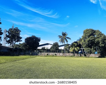 view of green grass fields and rows of lush trees under a bright blue sky