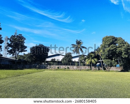 view of green grass fields and rows of lush trees under a bright blue sky