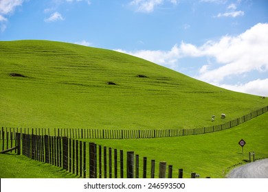 View Of Green Hills In New Zealand.