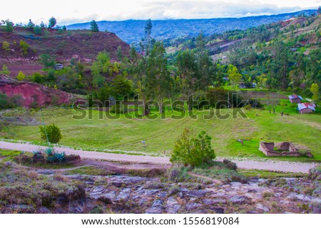 View of a green pampas with mountains in the background, landscape of the South American Andes