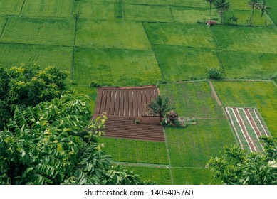 15 Tempat Wisata Di Cilacap Yang Keren Dan Kekinian