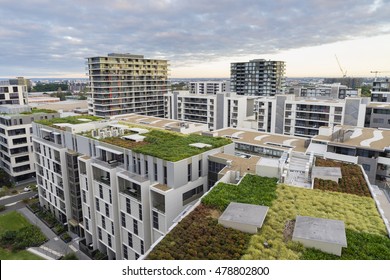 View of green roof on modern buildings and other residential buildings in Sydney, Australia during sunrise