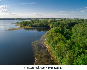 a view of green summer nature - Shutterstock ID 1985821883