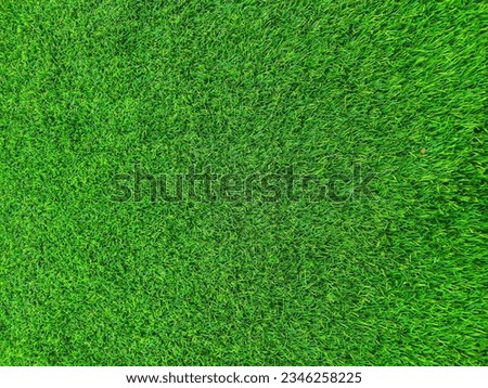 View of green synthetic grass in the field.  Background of green grass.  Green background.