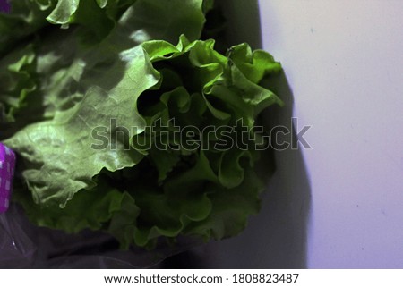 Similar – Image, Stock Photo Fresh leaf salad on a board with text space on the left