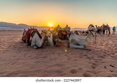 A view of a group of camels and travellers as the sun appears at sunrise in the desert landscape in Wadi Rum, Jordan in summertime - Shutterstock ID 2227442897