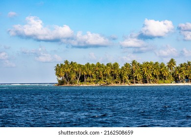 View Of A Group Of Palm Trees On An Island In The Maldives