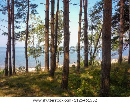 Similar – Foto Bild Ostseeküste in Polen