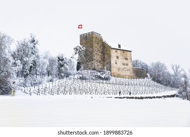 View Of Habsburg Castle During A Winter January Day.