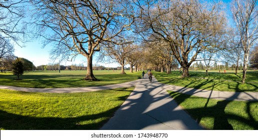 View Of Hagley Park In Christchurch