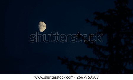 A view of a half moon at night