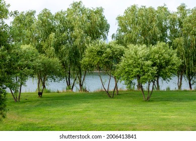 View Of Hangang River Park In Seoul.