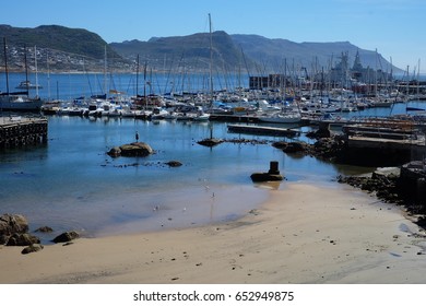 view from harbor
