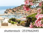 View to harbour and old town of Giglio Porto at Isola del Giglio, island of the tuscan archipelago, beautiful ancient rustico buildings and ferry terminal to Porto San Stefano, Grosseto Tuscany Italy