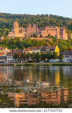 View of the Heidelberg castle in Germany