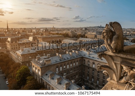 Gargoyle auf Notre Dame in Paris