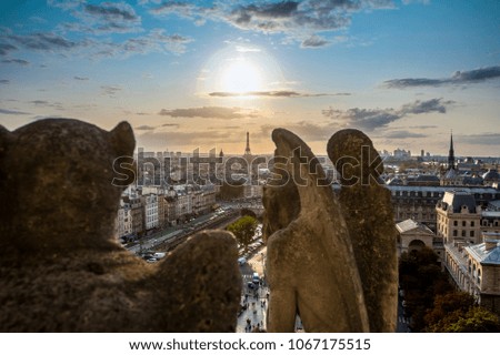 Similar – Gargoyle auf Notre Dame in Paris