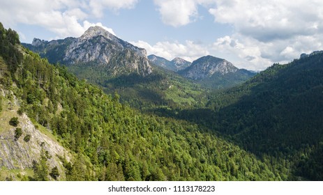 View from a height to a mountain range with coniferous trees.