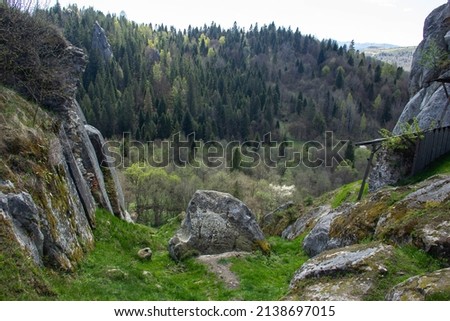 view from a height of sharp rocks hidden between a dense pine forest