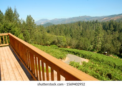 View Of Herb Lamb Vineyards In St. Helena California.  Herb Lamb Vineyards Produces Cabernet Sauvignon Red Wine In Napa Valley.