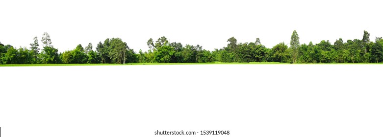 View of a High definition Treeline isolated on a white background - Shutterstock ID 1539119048