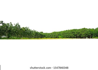 Skrútené treeline dohazování
