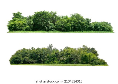 View of a High definition Treeline isolated on a white background                               