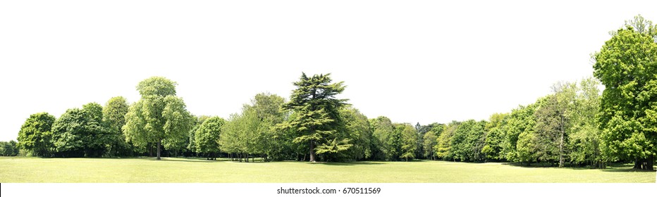 View of a High definition Treeline isolated on a white background - Shutterstock ID 670511569