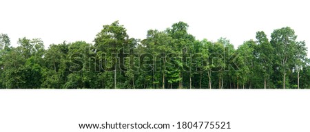 View of a High definition Treeline isolated on a white background                              